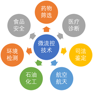 新奥天天免费资料单双中特,完善的执行机制解析_豪华版6.35