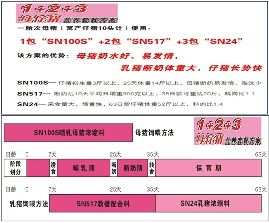 新澳精准资料免费提供,传统解答解释落实_win204.310