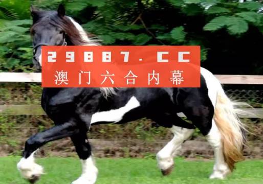 澳门今晚必开一肖一特,可靠解答解释落实_旗舰款46.229