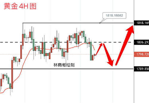 寿叶堂最新动态全面解读