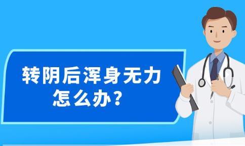 新澳精准资料大全,全面数据应用实施_VIP95.456