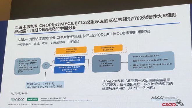 2024新澳门精准正版免费资料510期,深入执行数据策略_N版27.561