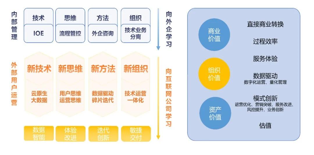 2024新奥正版资料免费,全面解析数据执行_XT58.455