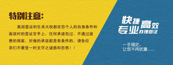 新奥天天正版资料大全,专家解析说明_set36.547