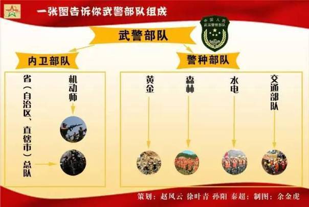 武警黄金部队转型重塑力量，最新变动与升级发展