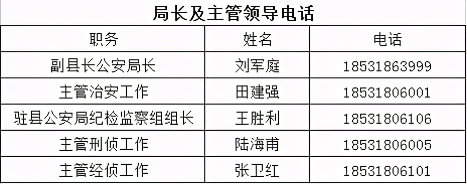 揭秘，最新处长号段特点、优势及适用场景解析