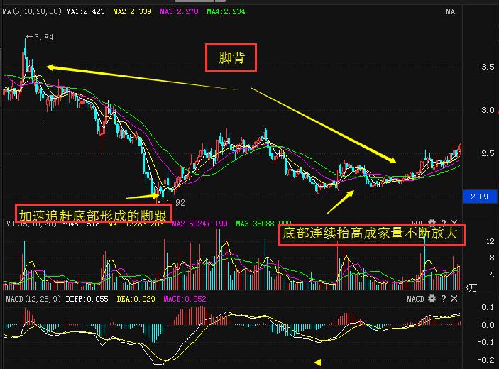 新澳门彩历史开奖记录走势图｜实用技巧与详细解析