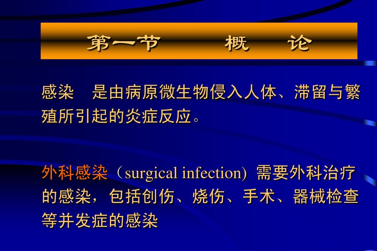 外愈下载，数字时代的全新探索体验