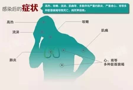 嘉兴流感最新概况及其社会影响分析