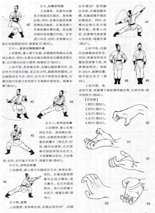 探索武术精髓，最新最全拳脚大揭秘