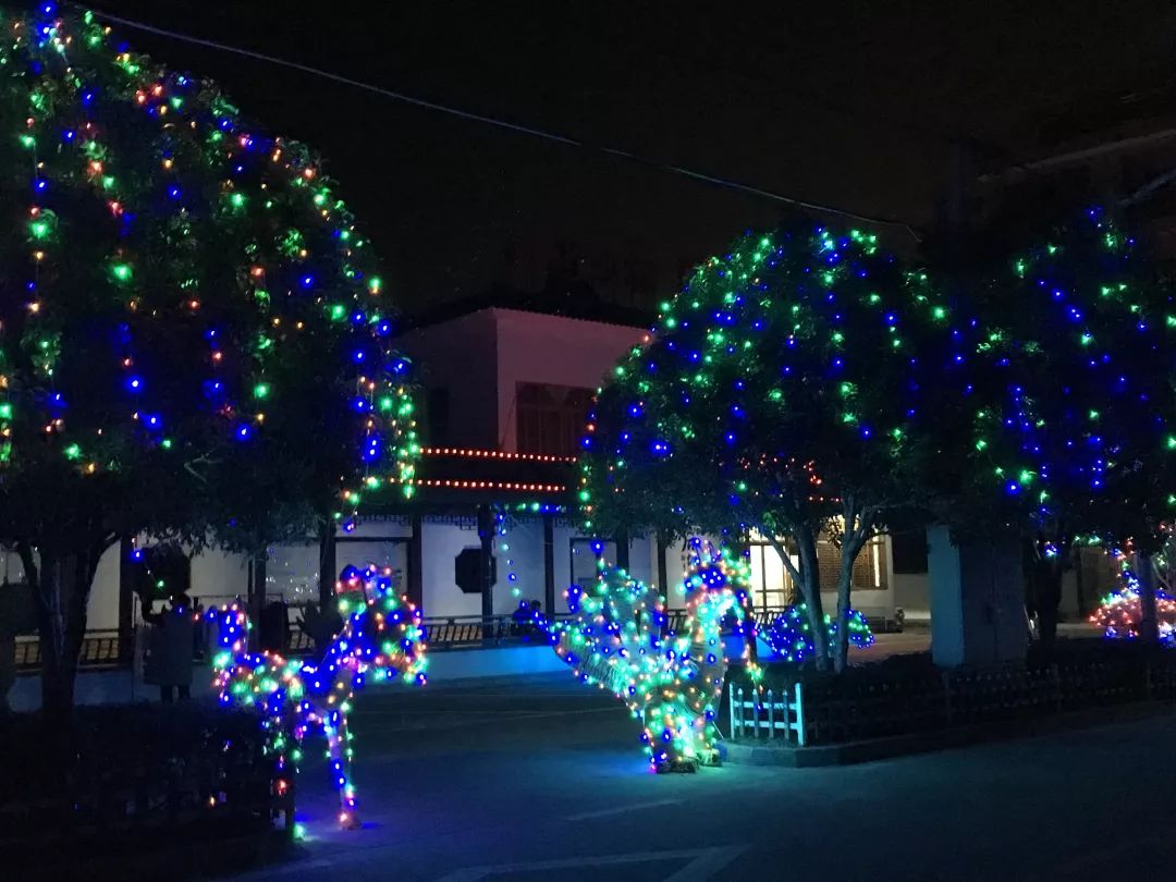 灯光村新项目，点亮乡村，引领未来发展之路