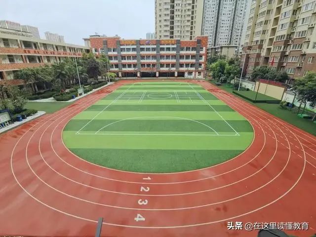 碑林区小学最新项目，开启未来教育新篇章