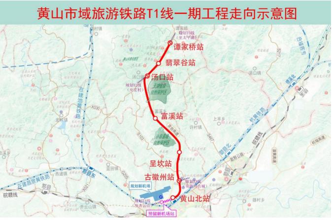 最新预情况分析报告概览