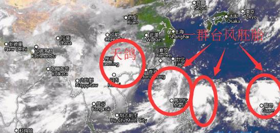 合鸽台风最新动态，分析、应对策略及实时消息