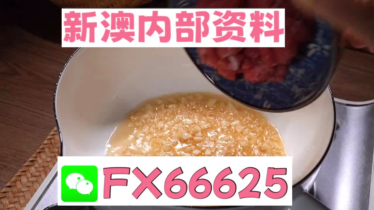 新澳门精准10码中特,效率资料解释落实_定制版6.33