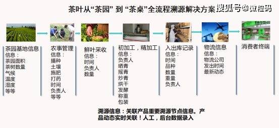 新澳内部资料精准一码波色表,精细化策略落实探讨_特别版3.556