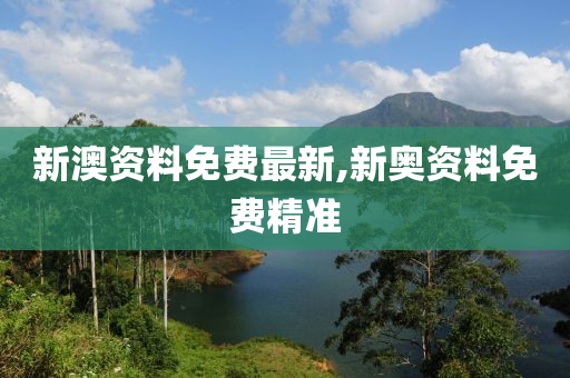 2004新澳精准资料免费提供,决策资料解释落实_5D58.23.13