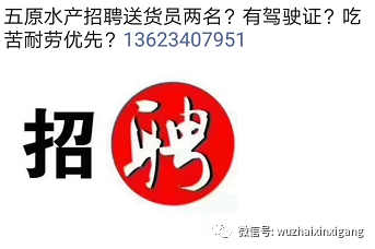 平阴信息港最新招聘动态及其社会影响分析