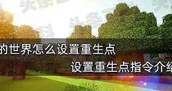 流行歌曲的魅力与变迁，2022最新款回顾