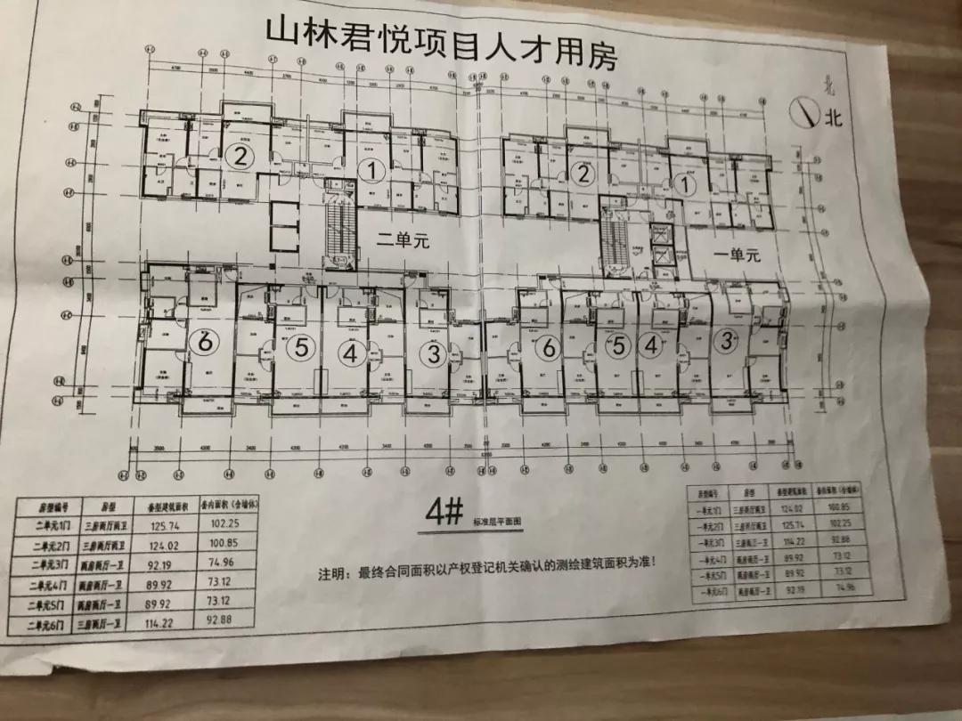 山林君悦最新动态，自然与人文和谐共生的探索之旅